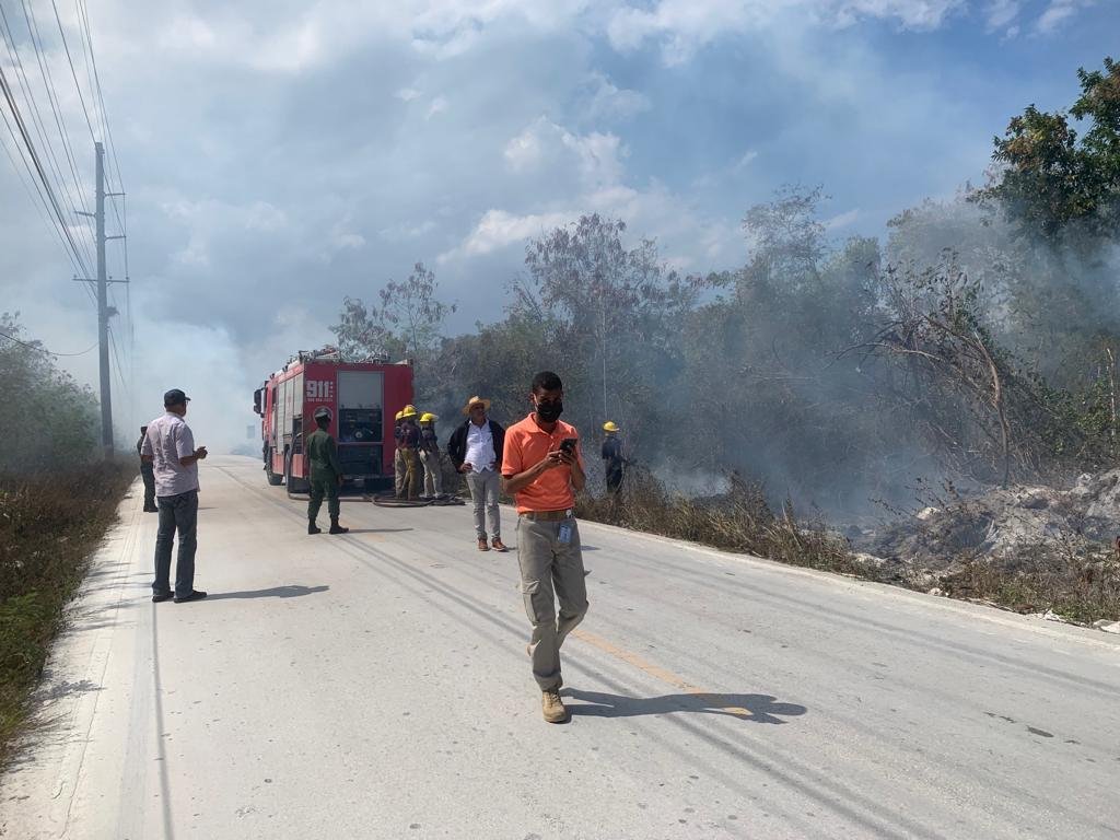 Incendio forestal