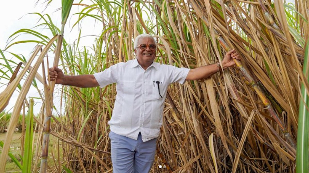 Rafael A. Burgos Gómez