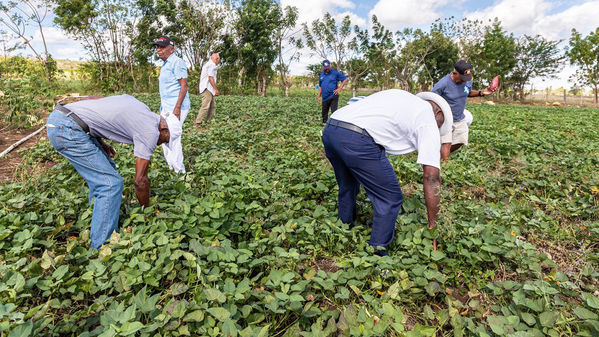 Adultos mayores del Hogar de día CONAPE 